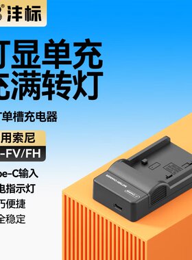 沣标NP-FV50充电器USB座充适用sony FH50 FH70 FH100 FV70 FV100摄像机AX700 AX60 AX45索尼FV90 DV相机电池