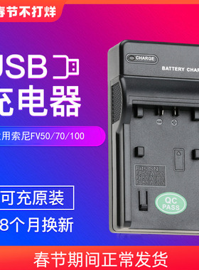 沣标NP-FV50充电器USB座充适用sony FH50 FH70 FH100 FV70 FV100摄像机AX700 AX60 AX45索尼FV90 DV相机电池
