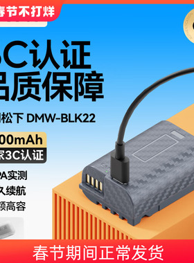 沣标DMW-BLK22电池通用BLF19E适用松下S9 DC-G9M2 DC-S5 S5M2 S5II S5II S5M2X GH6L GH5II相机GH7充电器配件
