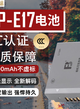 沣标LP-E17适用佳能V1 R8/10 R50V R100 RP 850D 800D 760D 750D 77D M6II M5 M3 200DII相机电池充电器 配件