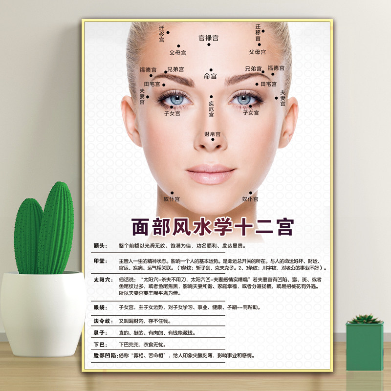 面相风水学海报图祛皱抗衰挂画面相十二宫kt板美容院装饰画微整形