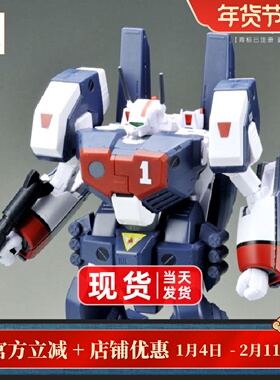 ARCADIA 太空堡垒 超时空要塞 1/60 VF-1J 一条辉 配重装甲AP套装