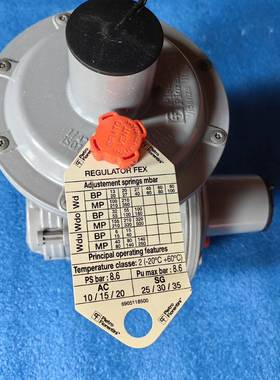 议价Pietro Fiorentini菲奥伦蒂尼调压阀