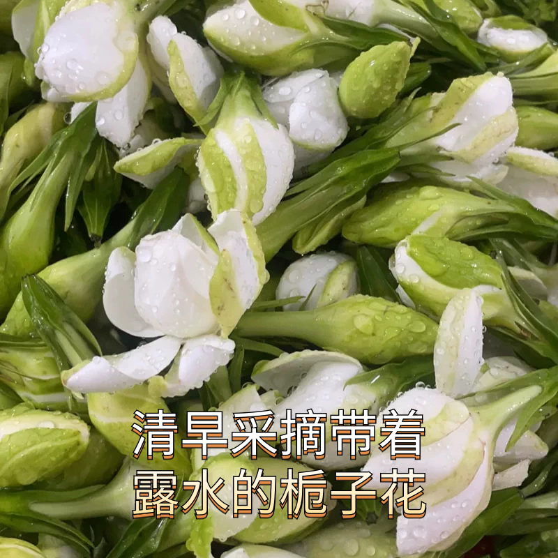 「不带枝条栀子花」浓香型香薰酵素原料花骨朵顺丰农家基地直发