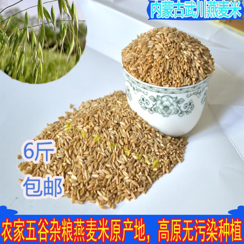 燕麦米生裸燕麦仁粒农家自产内蒙古胚芽3kg6斤散装