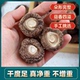 深山农家香菇1斤无根肉厚香菇干货干当季 新货无干燥剂金钱菇商用