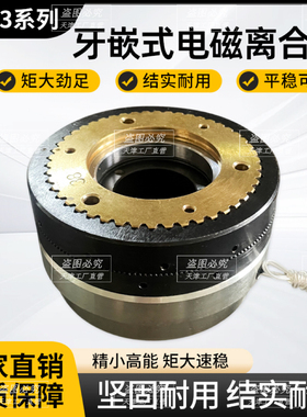 DLY3系列 牙嵌式电磁离合器 DC24V