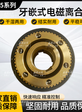 DLY5系列 牙嵌式电磁离合器 适用冶金 钢铁 机床 游乐设备等DC24V