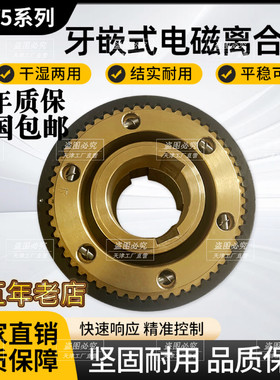 DLY5系列 牙嵌式电磁离合器 适用冶金 钢铁 机床 游乐设备等DC24V