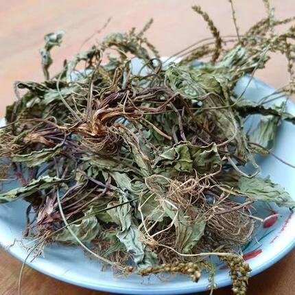 26年新晒野生车前草车钱草田冠草车轮菜猪肚菜食用包邮