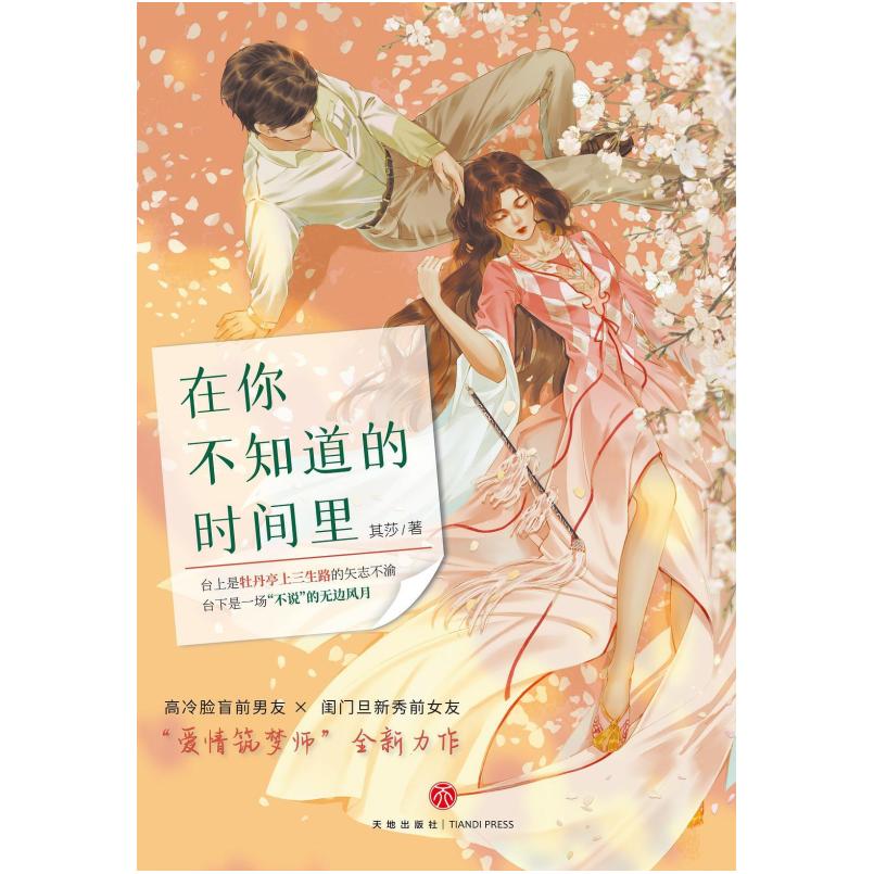 二手在你不知道的时间里 其莎 天地出版社
