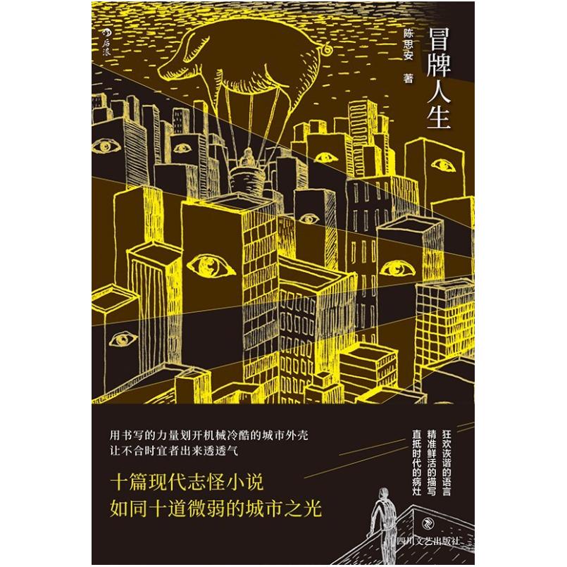 二手冒牌人生 陈思安 四川文艺出版社