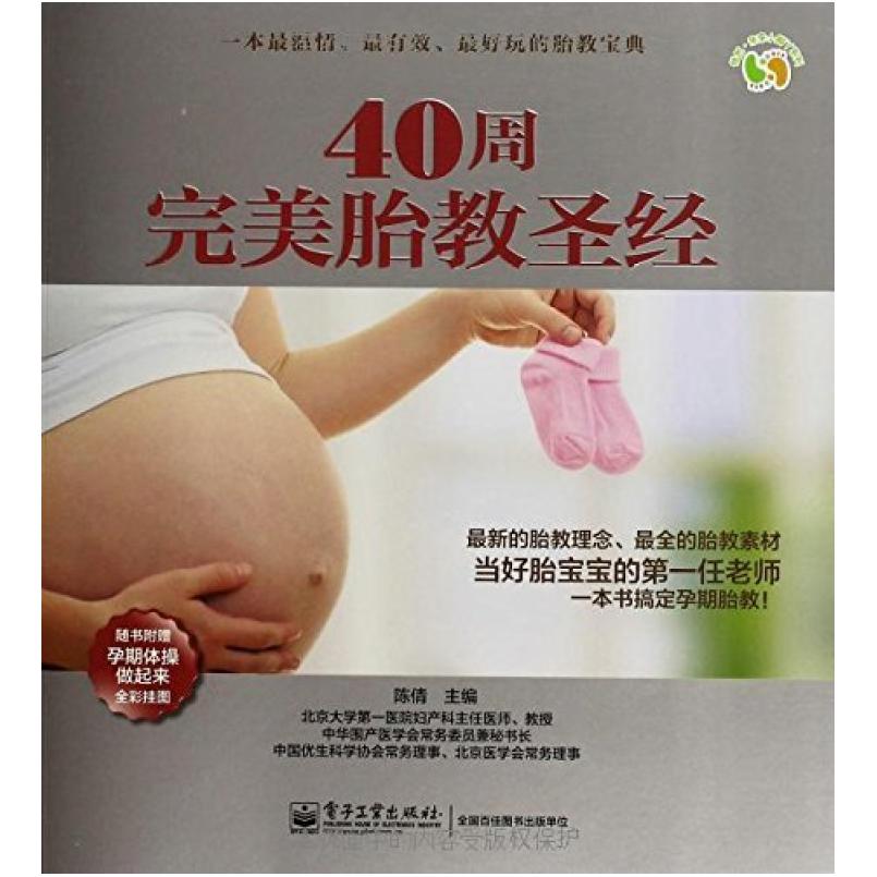 二手40周完美胎教圣经 陈倩 电子工业出版社