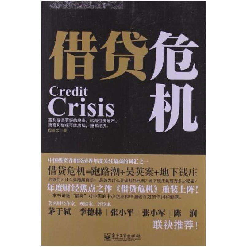 二手借贷危机 段育文 电子工业出版社