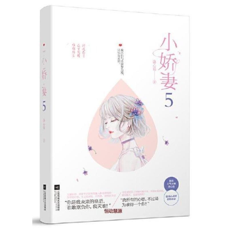 二手小娇妻5 洛心辰 江苏凤凰文艺出版社