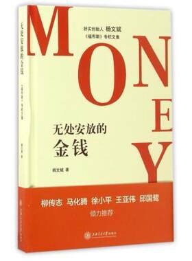 二手无处安放的金钱 杨文斌 上海交通大学出版社