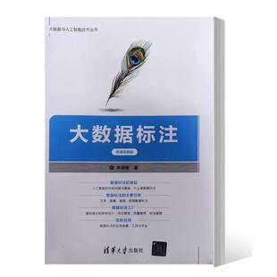 二手大数据标注(微课视频版) 李颖智 清华大学出版社