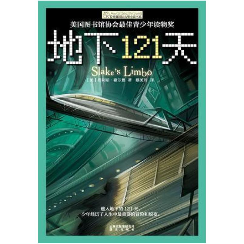 二手地下121天 (美)费利斯·霍尔曼 晨光出版社