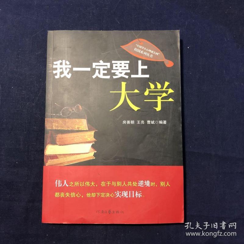 二手我一定要上大学 房善朝 河南文艺出版社