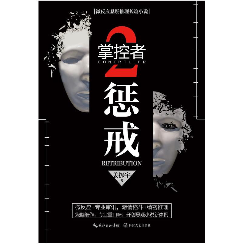 二手掌控者2：惩戒 姜振宇 长江文艺出版社