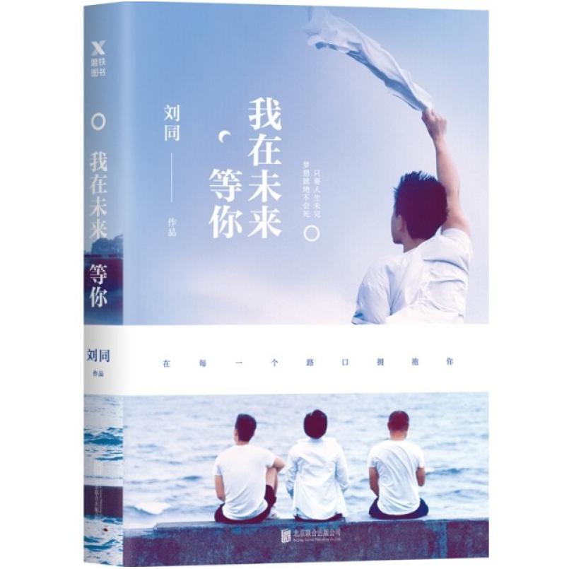 二手我在未来等你 刘同 北京联合出版公司