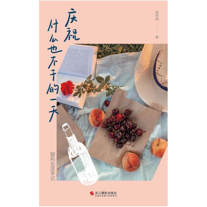 二手庆祝什么也不干的一天：智利生活手记 园有桃 浙江摄影出版社