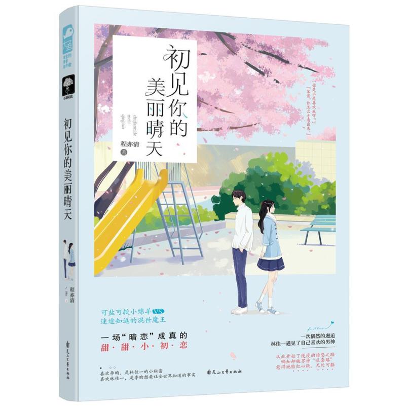 二手初见你的美丽晴天 程亦清 花山文艺出版社