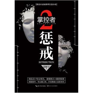 二手掌控者2：惩戒 姜振宇 长江文艺出版社