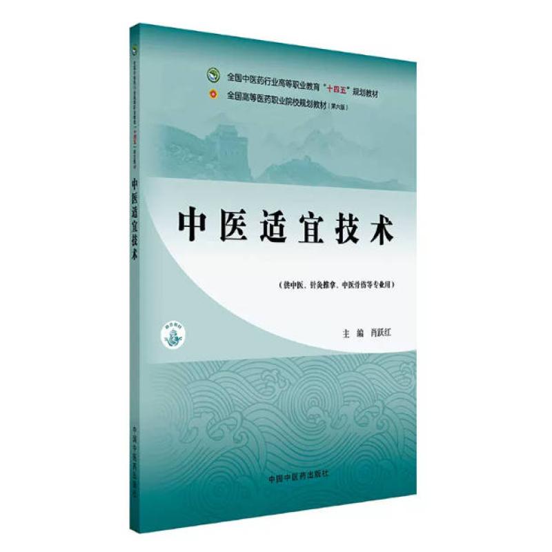 二手中医适宜技术 肖跃红 中国中医药出版社