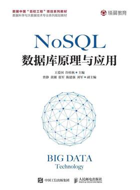 二手NoSQL数据库原理与应用 王爱国 人民邮电出版社