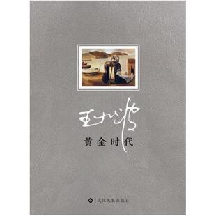 二手黄金时代 王小波 文化发展出版社