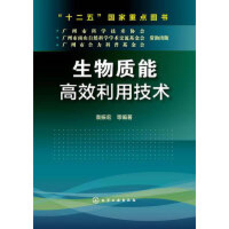 二手生物质能高效利用技术 袁振宏 化学工业出版社