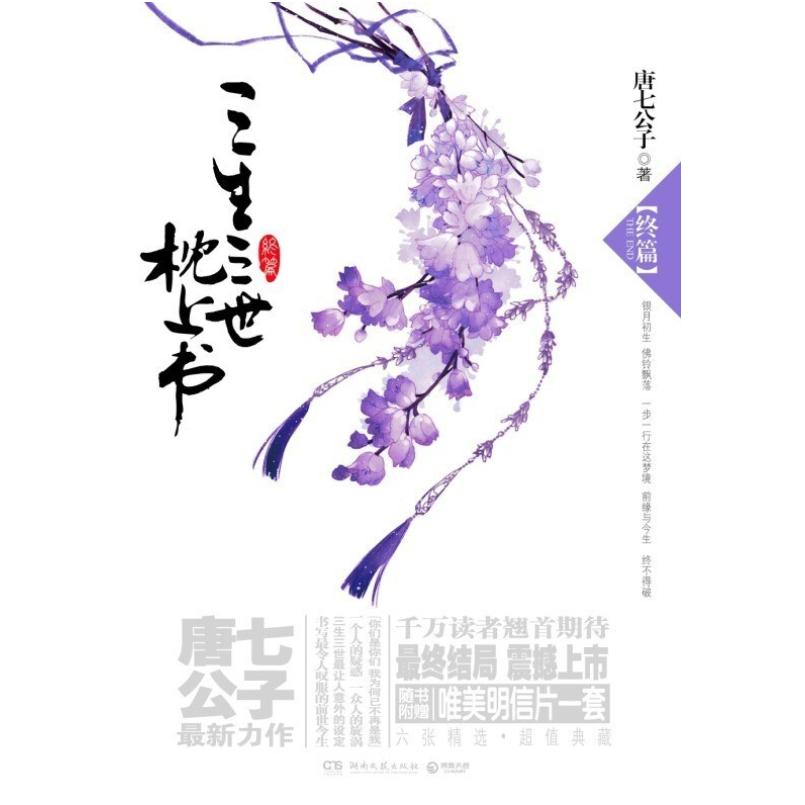 二手三生三世枕上书(终篇) 唐七公子 湖南文艺出版社