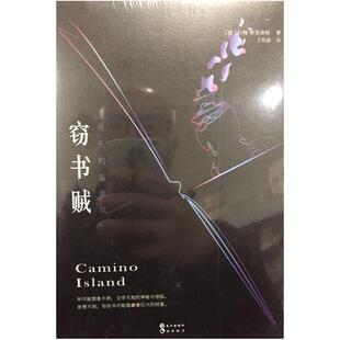 二手窃书贼:消失的“盖茨比” 约翰格里森姆 长江出版社