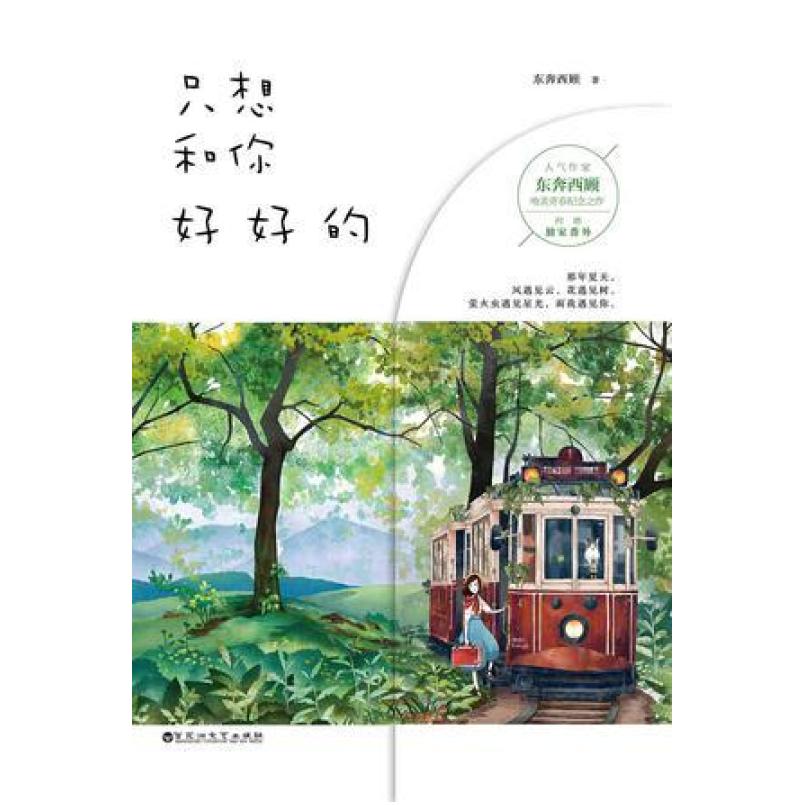 二手只想和你好好的 东奔西顾 百花洲文艺出版社