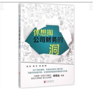 二手休想掏公司财务的洞 高垚/杨芳/陈皓 北京联合出版公司