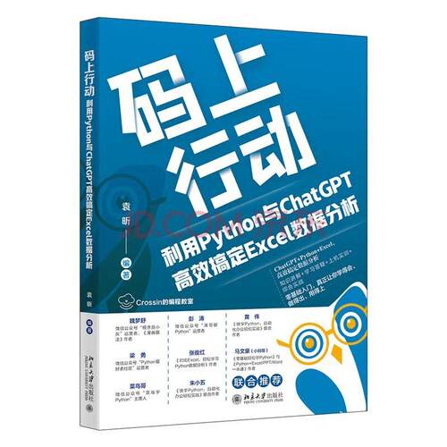 二手码上行动:利用Python与ChatGPT高效搞定Excel数据分析 袁昕