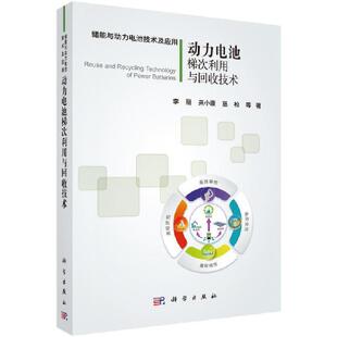 二手动力电池梯次利用与回收技术 李丽 科学出版社
