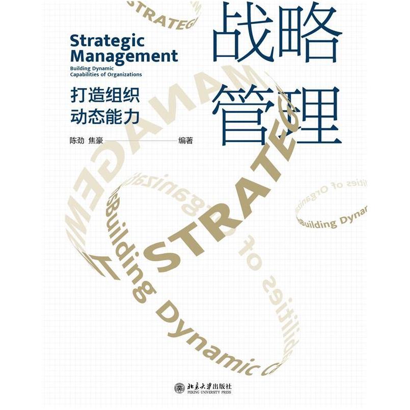 二手战略管理:打造组织动态能力 陈劲 北京大学出版社