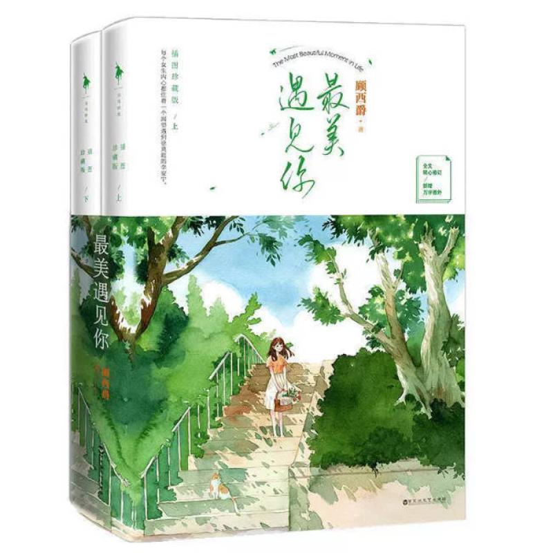 二手最美遇见你(全两册) 顾西爵 百花洲文艺出版社