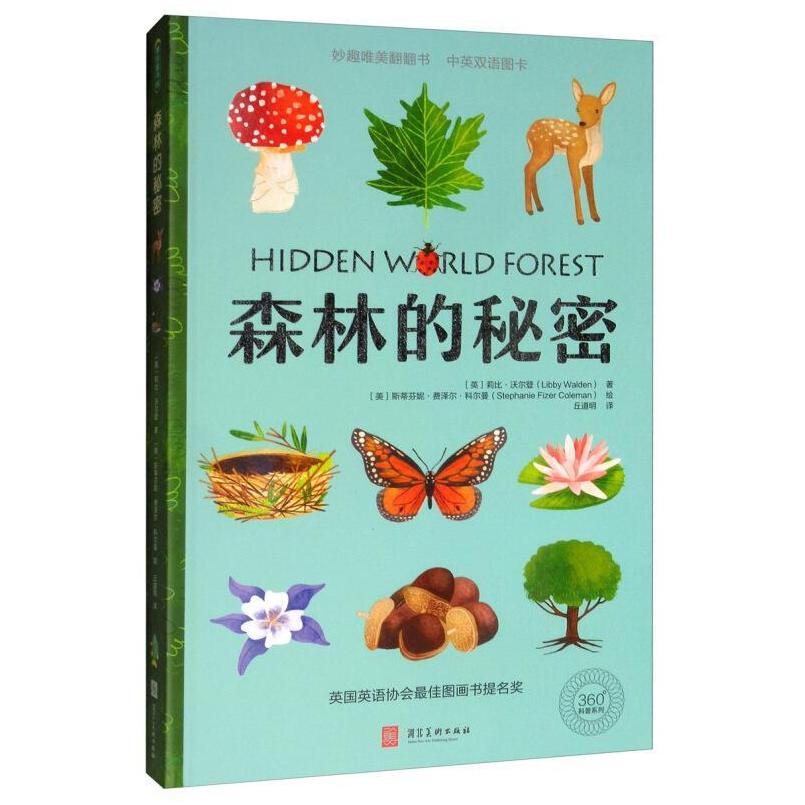 二手森林的秘密 [英]莉比 沃尔登 河北美术出版社