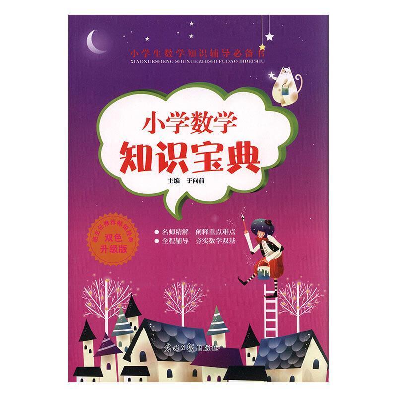 二手小学生数字知识宝典 于向前 光明日报出版社