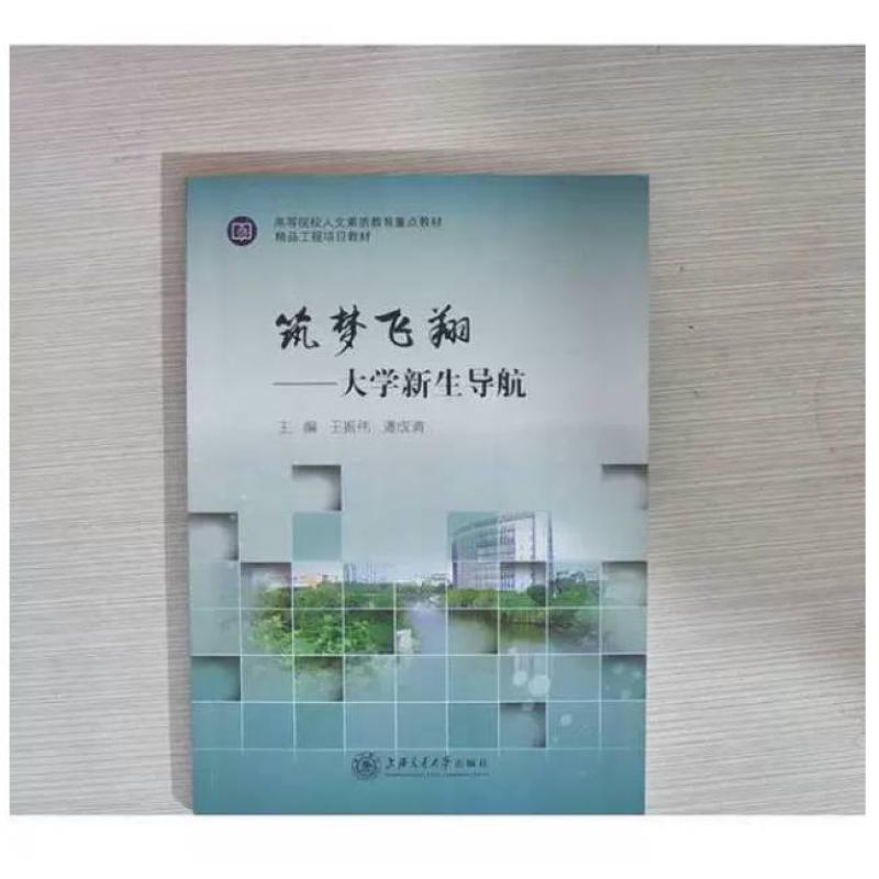 二手筑梦飞翔:大学新生导航 王振伟 上海交通大学出版社