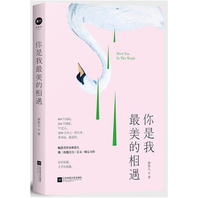 二手你是我最美的相遇 林笛儿 江苏凤凰文艺出版社