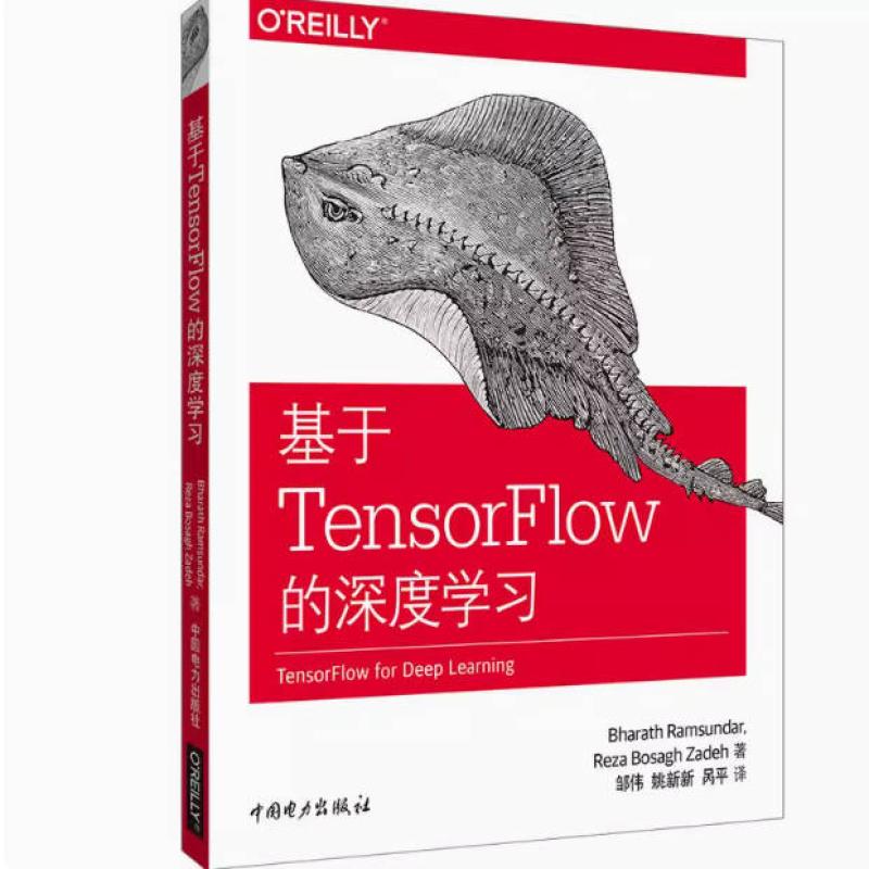二手基于TensorFlow的深度学习 BharathRamsundar 中国电力出版社