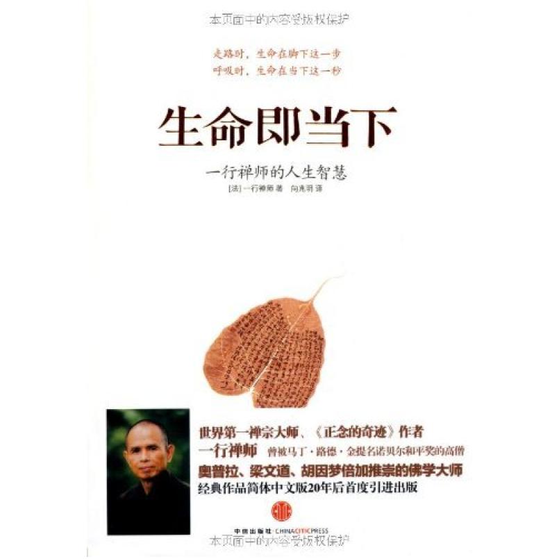 二手生命即当下 [法]一行禅师 中信出版社