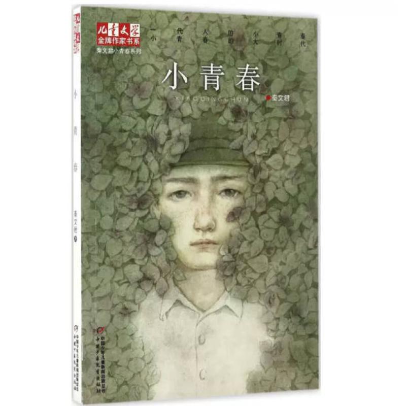 二手小青春 秦文君 中国少年儿童出版社
