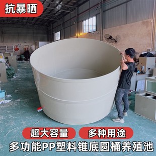 PP塑料大型锥底圆桶养殖池户外加厚养鱼桶鱼箱锦鲤水产大鱼缸定制