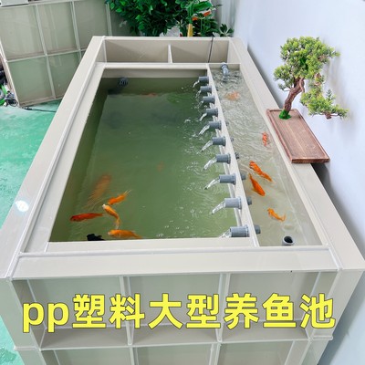 室外大型鱼池pp塑料锦鲤鱼池