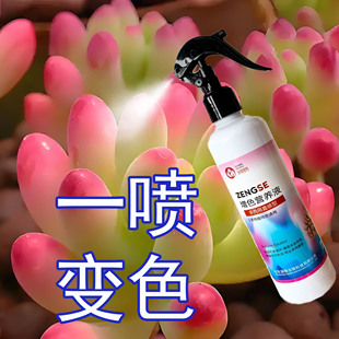 多肉上色剂喷雾即喷型出锦增色剂补光灯免稀释营养液一喷红肥料